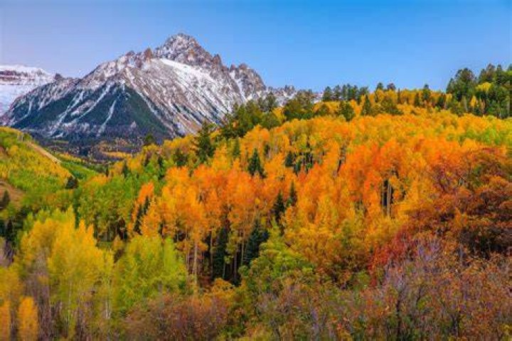 Aspen