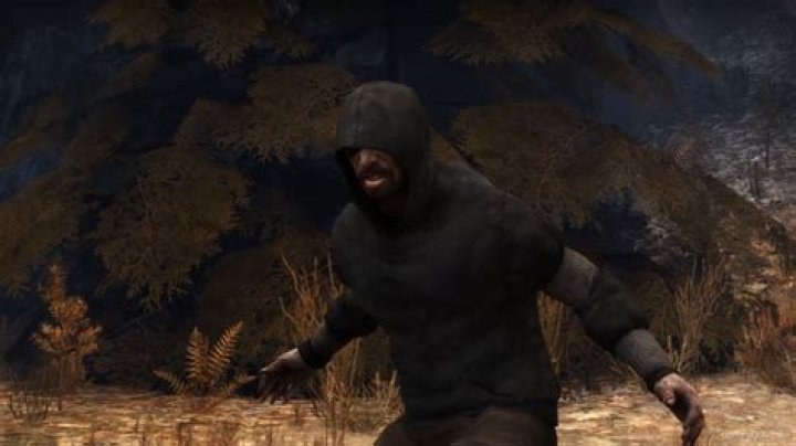 Beta hunter