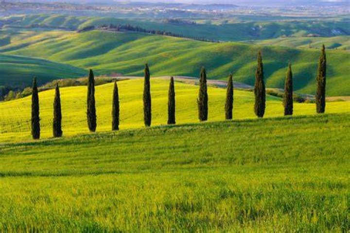 Colline