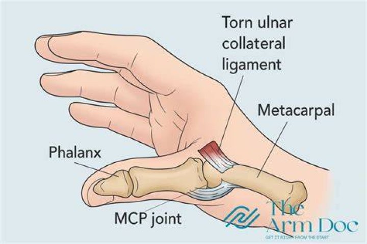 Doctor (UCL)