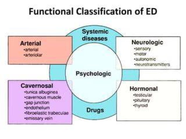 Ed
