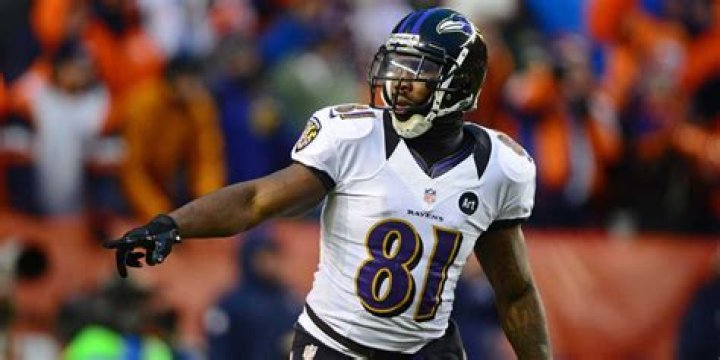 Himself - Baltimore Ravens WR / KR