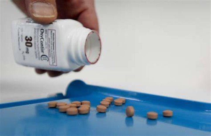 How Much Did Purdue Pharma Really Make from OxyContin? - SarkariResult