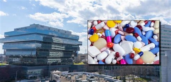 How Much Did Purdue Pharma Really Make from OxyContin?