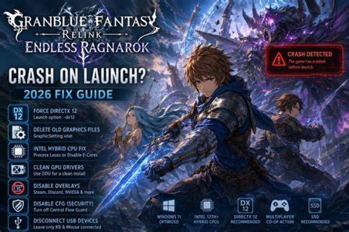 How to Fix Granblue Fantasy Versus Rising Error 010e-0000