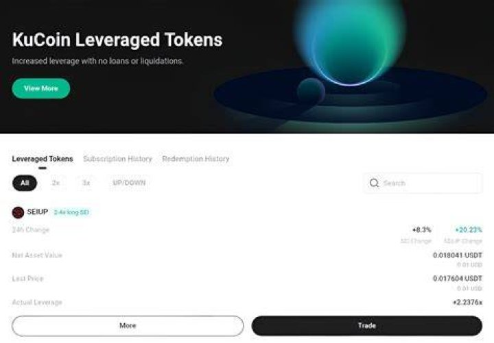 How to Resolve a KuCoin Withdrawal Suspension