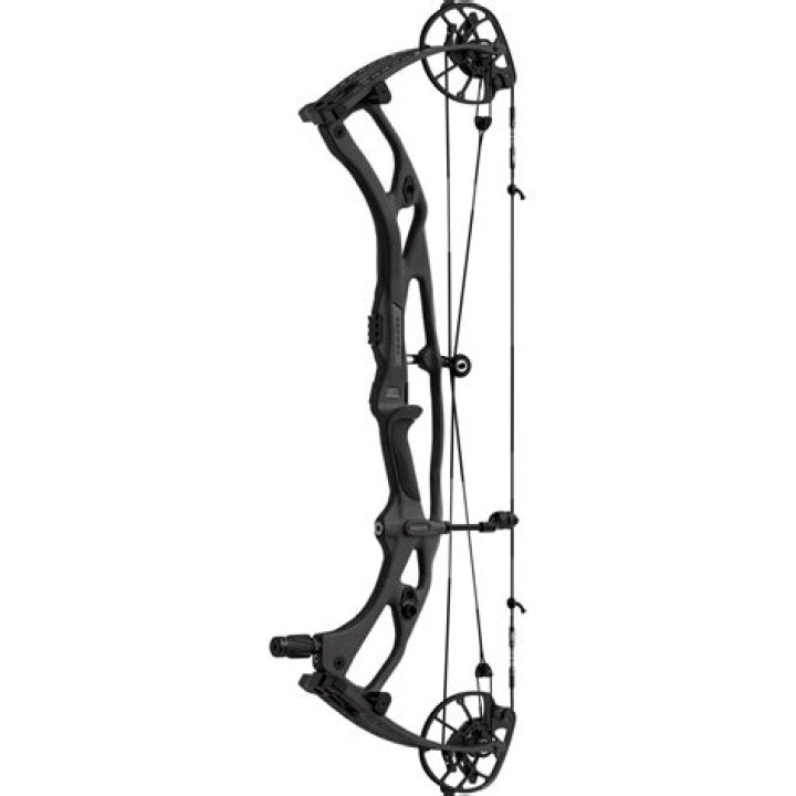 Hoyt