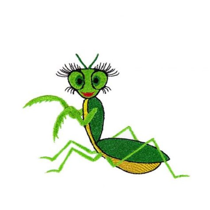 Janice Mantis