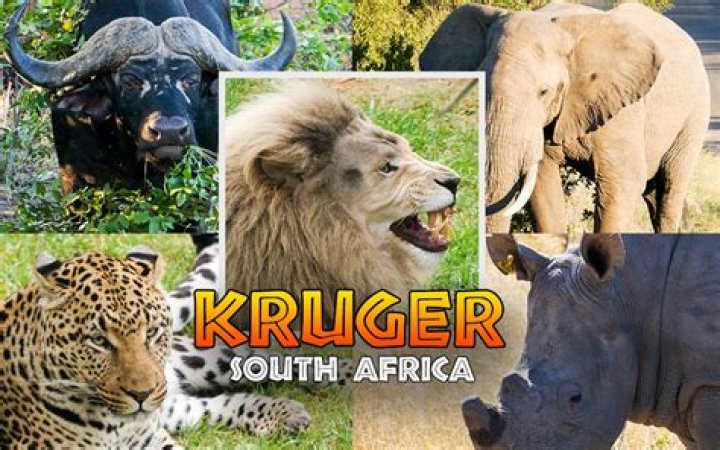 Kruger