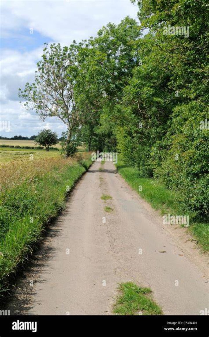 Lane