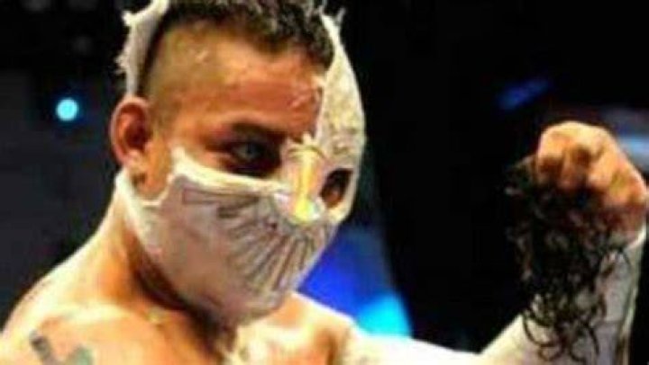Luis Ignacio Urive Alvirde Net Worth