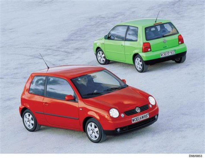 Lupo