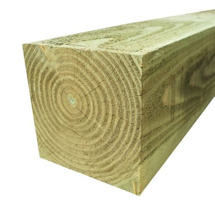 Mayor Timber
