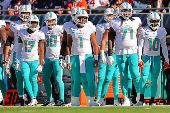 Miami Dolphin Team Player