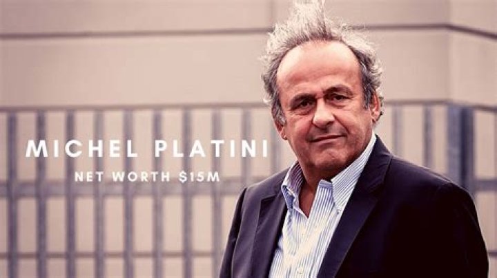 Michel L&eacute;viant Net Worth