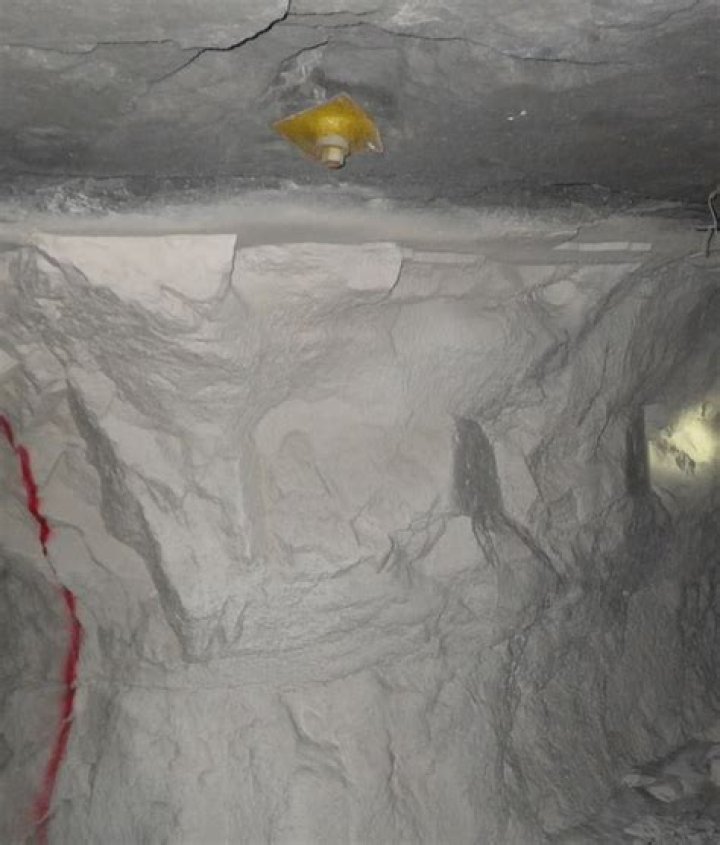 NSA Tunnel Guard 1
