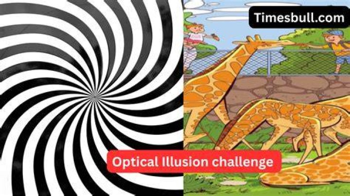 Optical Illusion Challenge: Can You Spot The Number 533 Within 7 Secs?