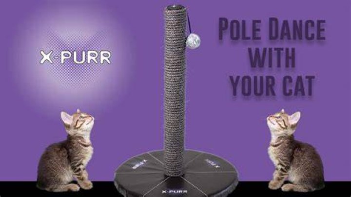 Pole Cat Stripper