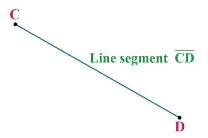 (segment