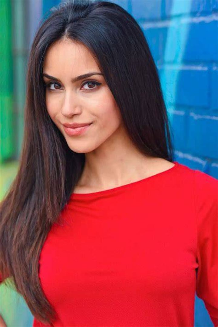 Shiva Negar Net Worth