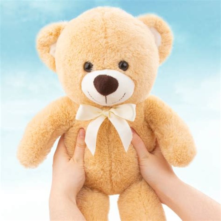 Teddy