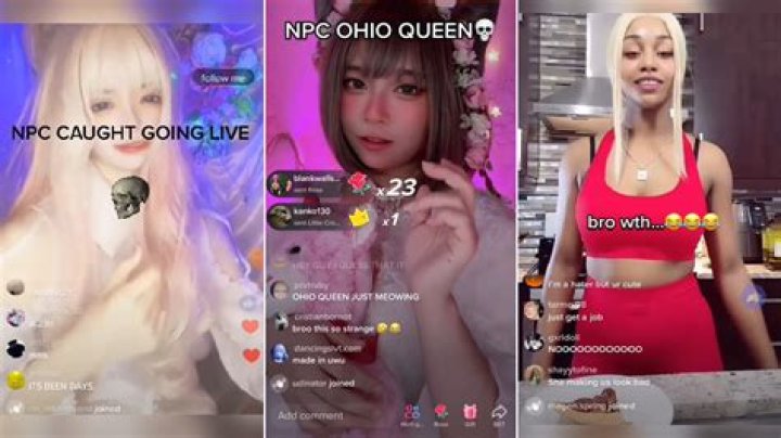 What Is TikTok NPC Streamers? Viral Trend Explained What Is TikTok NPC Streamers? Viral Trend Explained