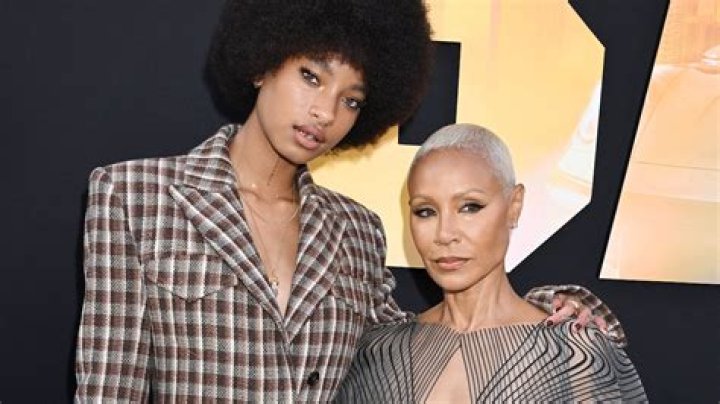 Willow Smith Career Insight