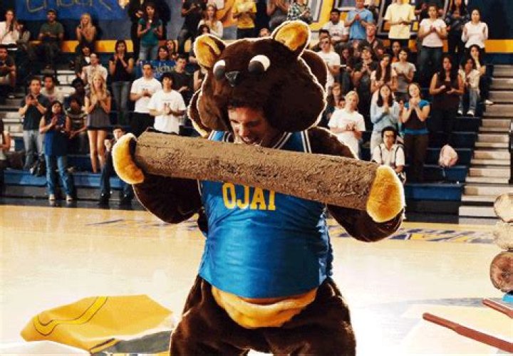 Woodchuck Todd