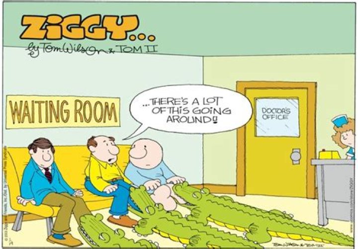 Ziggy
